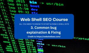 Web Shell Course- Common bug explaination & Fixing