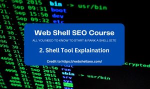 Web Shell Course -Shell Tool Explaination